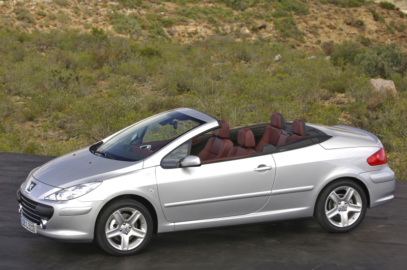 Coque Rétroviseur Peint Gris Pour Peugeot 307 (2001-2009), 407, Citroën Xsara - Remplacement Droit